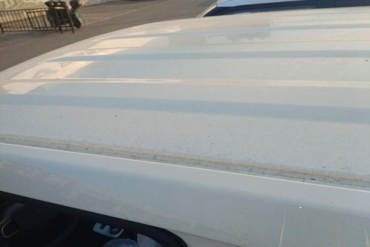 Used  Panda 2025 210 km – Yuanqi Bear
