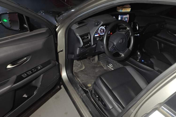 Used Lexus UX New Energy 2020 300e Pure·Joy Edition
