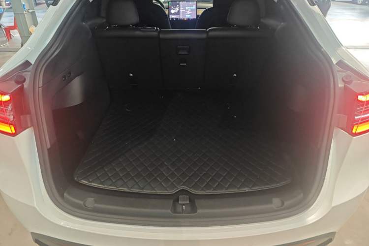 Used Tesla Model Y 2021 Standard Range Rear-Wheel Drive Version
