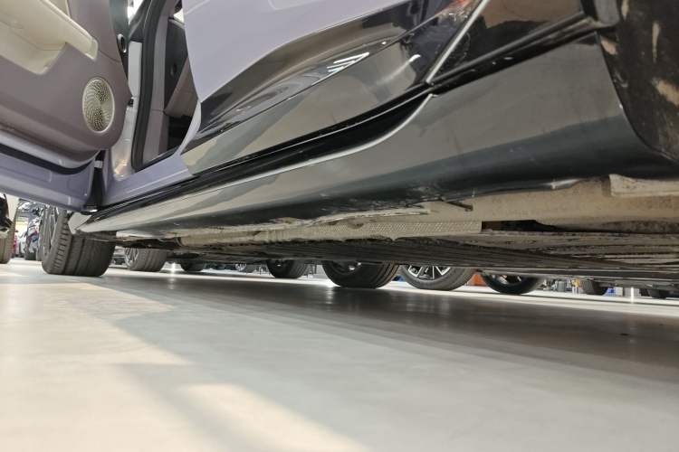 Used  06 2025 Max Extended-Range Edition
