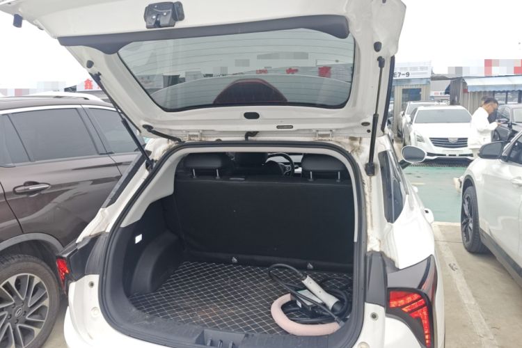 Used NETA V 2021 Long-Range Entertainment Edition Upgrade Model
