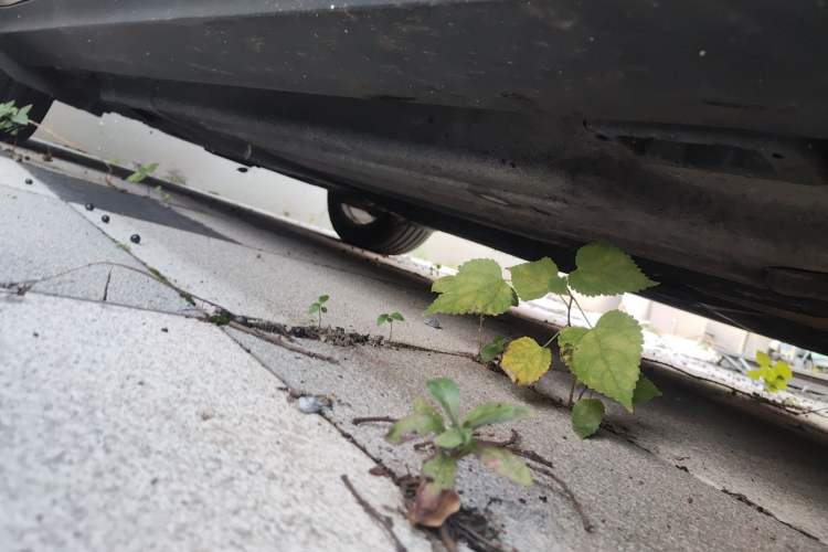 Used Porsche Macan 2017 Macan S 3.0T
