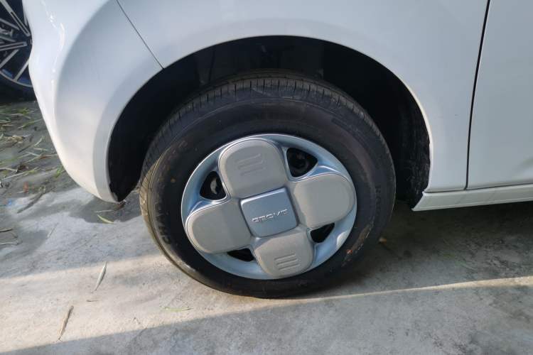 Used  Panda 2024 Panda Mini 200km Endurance Bear
