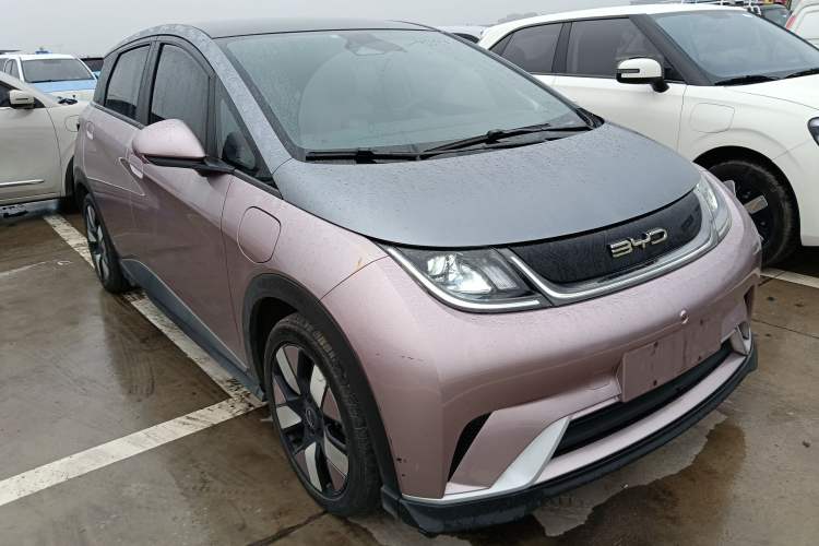 Used BYD Dolphin 2021 401km Knight Edition
