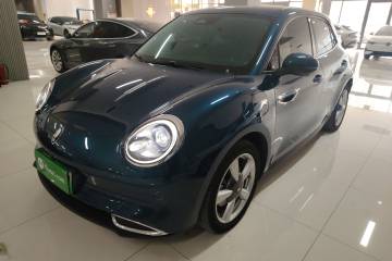 Used ORA Good Cat 2023 401 km Standard Range Luxury Version Lithium Iron Phosphate