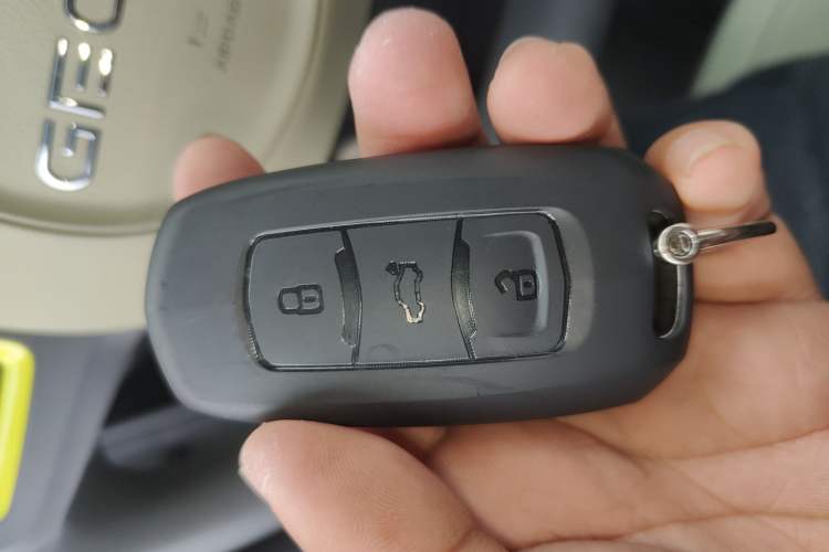 Used  Panda 2024 200km Panda Rider