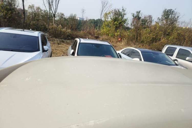 Used BYD Dolphin 2024 Honor Edition 420km Freedom Version
