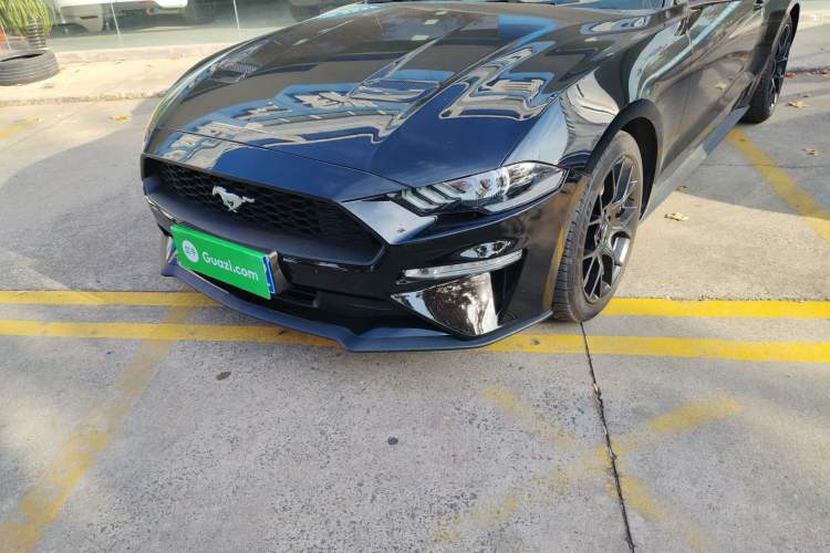 Used Ford Mustang 2019 2.3L EcoBoost
