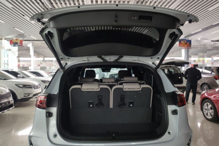 Used BYD Tang New Energy 2025 DM-i 115KM Prestige Model
