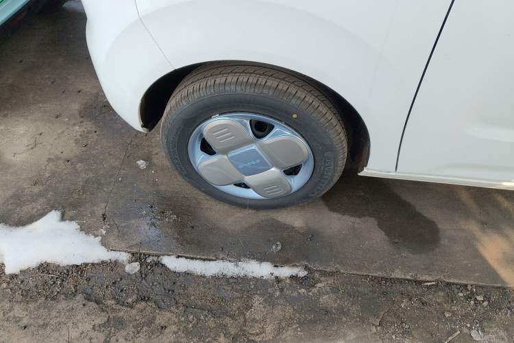 Used  Panda 2024 Panda Mini 200km Endurance Bear
