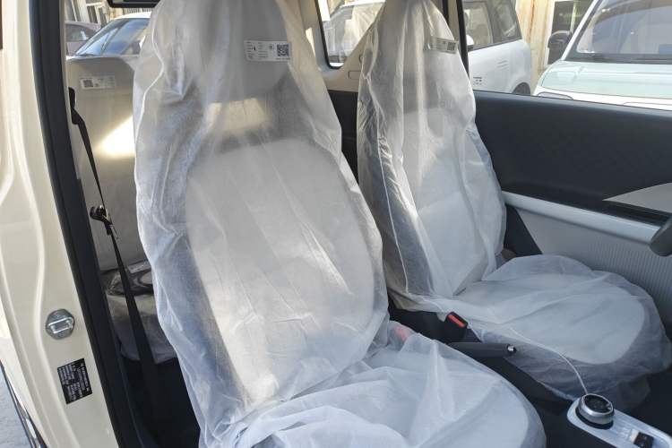 Used  Panda 2025 210 km – Yuanqi Bear