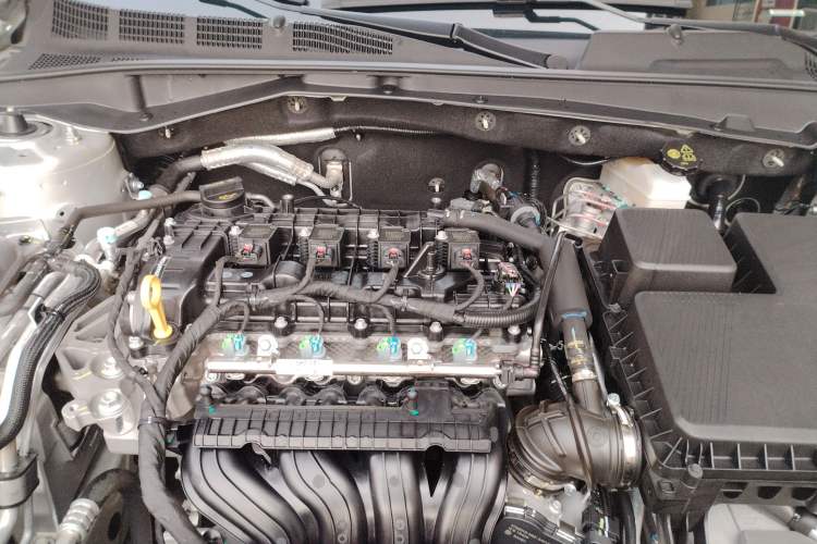 Used  A05 2024 Truly Delicious Version 145 Beyond-Excellent Type
