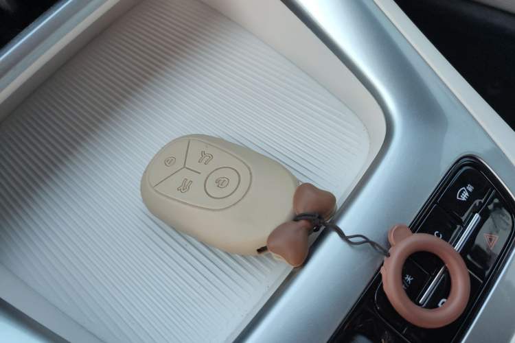 Used  Geome 2025 310km Youth Edition
