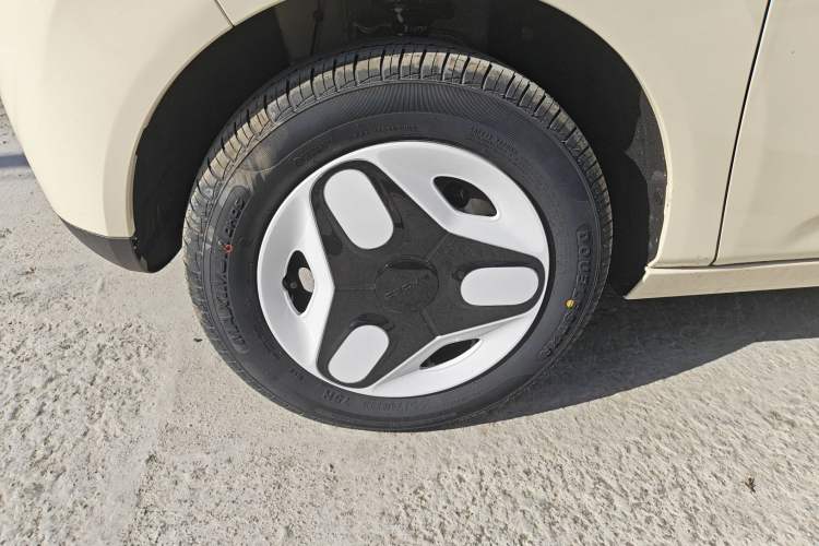 Used  Panda 2025 210 km – Yuanqi Bear
