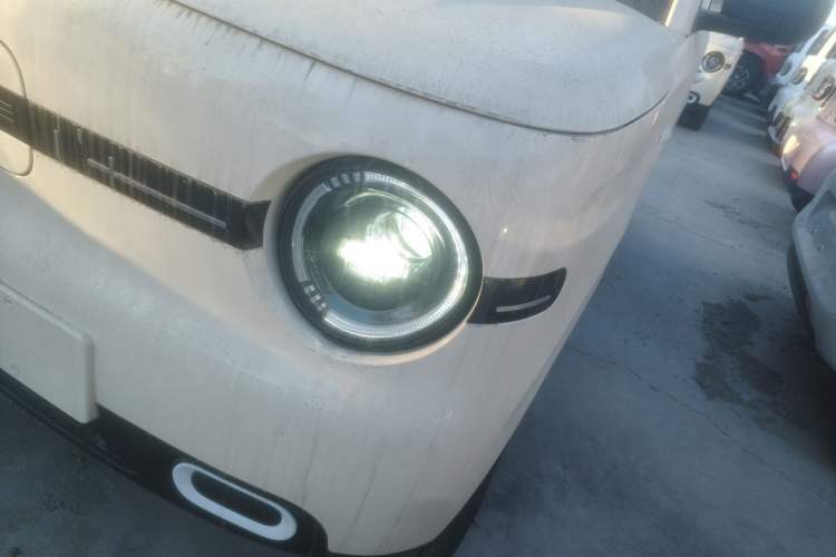 Used  Panda 2025 210 km – Yuanqi Bear