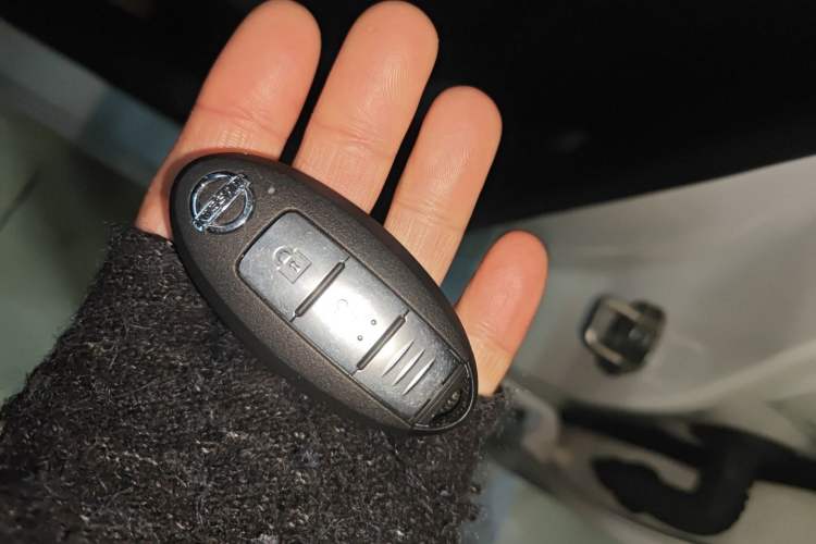 Used Nissan Qashqai 2019 2.0L CVT Luxury Edition
