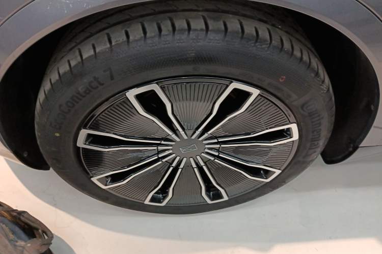 Used  07 2024 Max Extended-Range Edition
