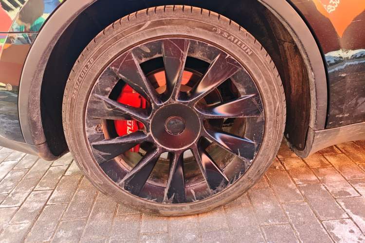 Used Tesla Model Y 2021 Standard Range Rear-Wheel Drive Version
