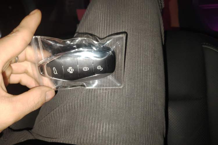 Used Hongqi HS7 PHEV 2024 2.0T PHEV Four-Wheel Drive Flagship Edition 6 Seats