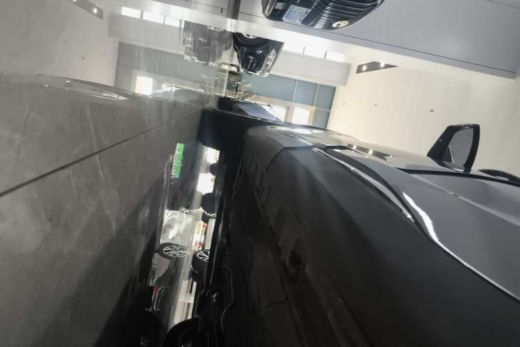 Used  Lingyun 2021 290T Two-Wheel Drive StarRui Edition
