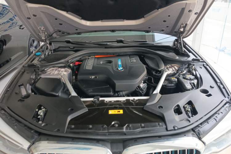 Used BMW 5 Series New Energy 2019 530Le Luxury Package