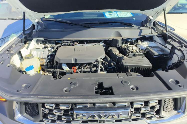 Used Haval  2023 2.0T Two-Wheel Drive Chaoye Version Plus
