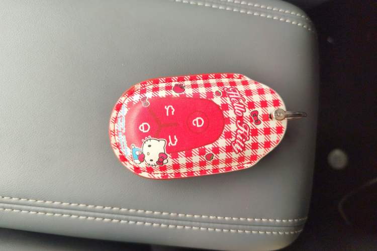 Used  Geome 2025 310km Youth Edition
