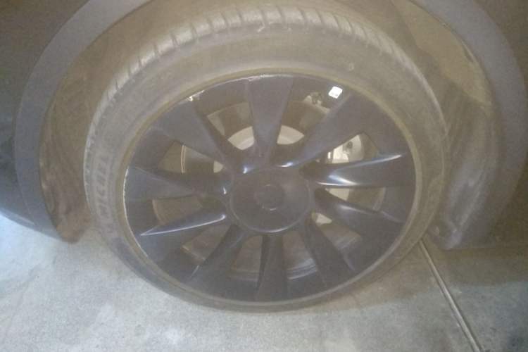 Used Tesla Model Y 2021 Standard Range Rear-Wheel Drive Version
