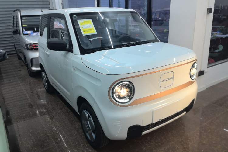 Used  Panda 2024 Panda Mini 200km Endurance Bear
