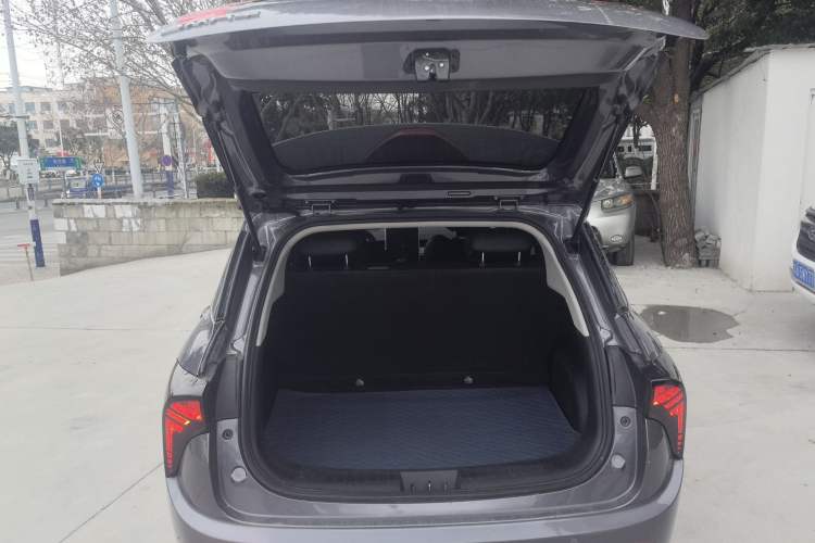 Used NETA V 2022 Long-Range Industry Custom Edition