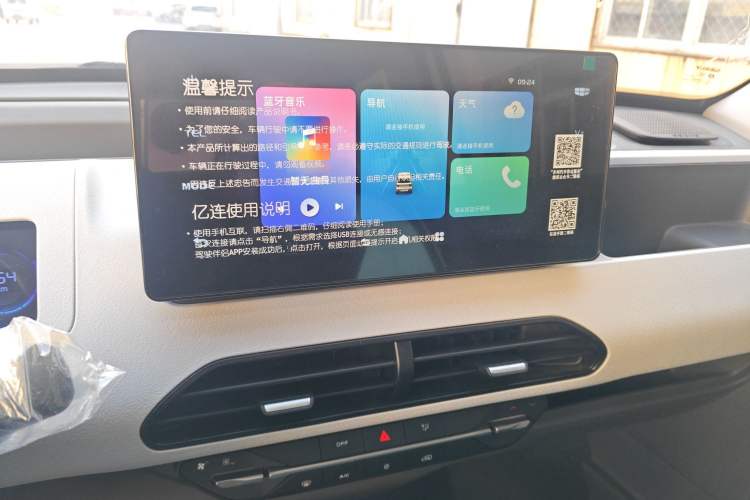 Used  Panda 2024 Panda Mini 200km Endurance Bear
