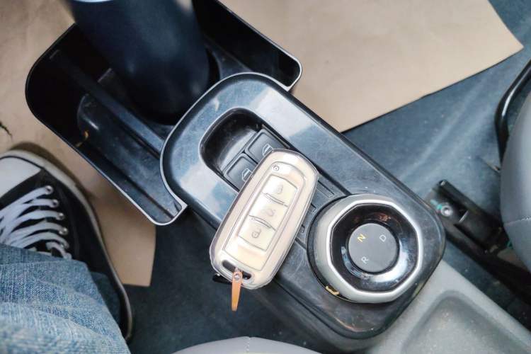 Used  Panda 2024 200km Panda Rider