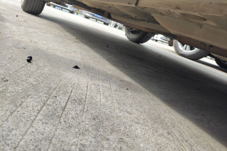 Used Toyota YARiS L 2021 X-Trail 1.5L CVT Leading Edition