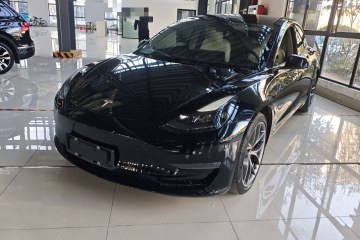 Used Tesla Model 3 2021 Performance High-Performance All-Wheel-Drive Version