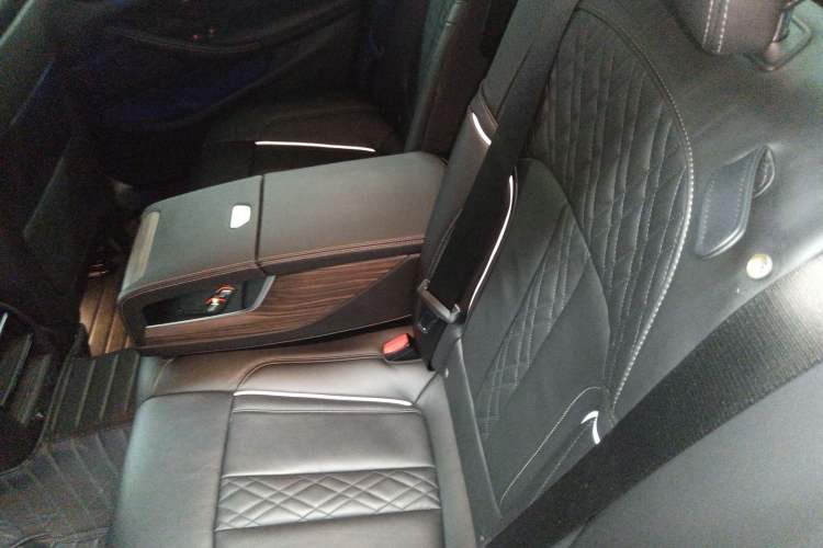 Used BMW 5 Series New Energy 2019 Updated Version 530Le Luxury Package
