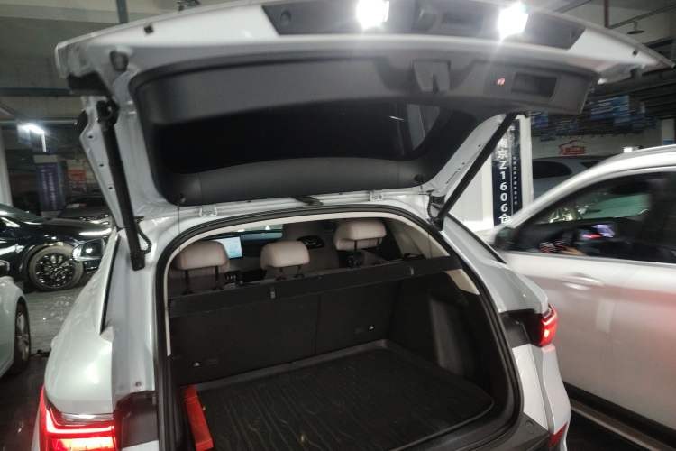 Used BYD Yuan PLUS 2023 Champion Edition 510KM Excellence Model