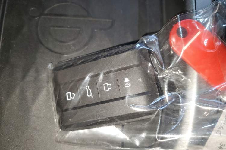 Used Tank 300 2021 City Edition 2.0T—Truly Stylish