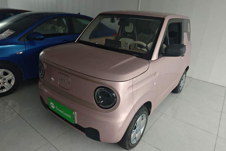 Used  Panda 2023 Panda Mini 200km Endurance Bear