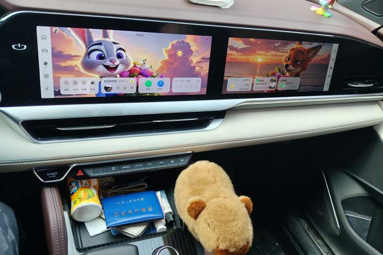 Used Geely Auto Monjaro L 2021 2.0TD DCT EVO Two-Wheel Drive Prestige Version
