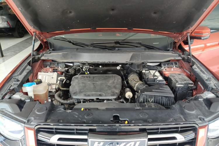 Used Haval DARGO 2022 1.5T DCT Two-Wheel Drive Labrador Edition
