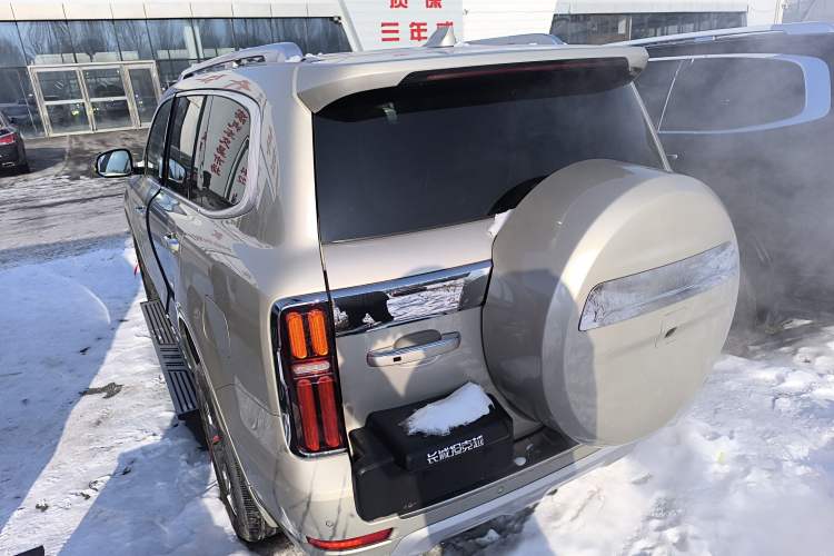 Used Tank 500 New Energy 2023 Hi4-T
