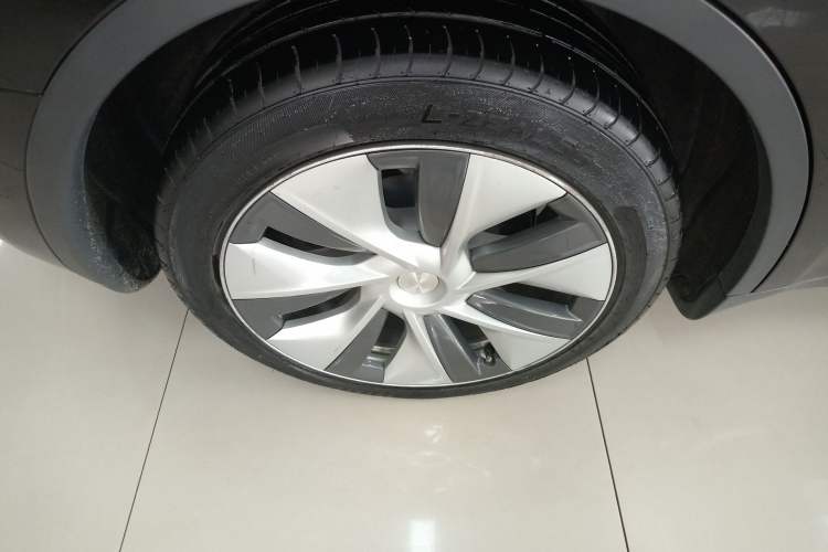 Used Tesla Model Y 2021 Standard Range Rear-Wheel Drive Version
