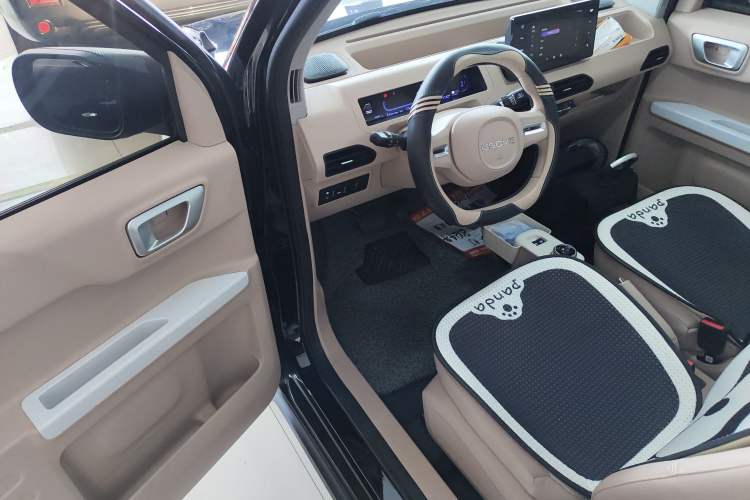 Used  Panda 2024 200km Panda Kart
