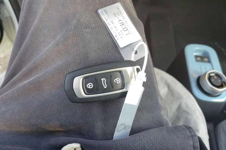 Used  Panda 2024 Panda Mini 200km Endurance Bear
