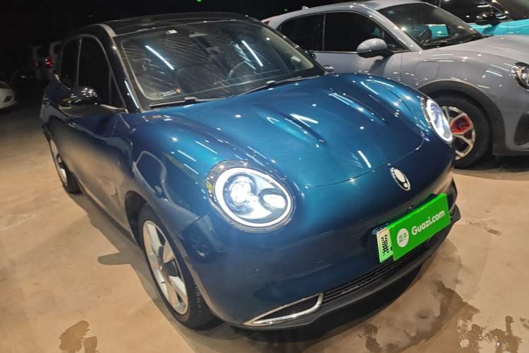 Used ORA Good Cat 2022 Morandi Edition 400km Standard Range Premium Version Lithium-Ion Battery