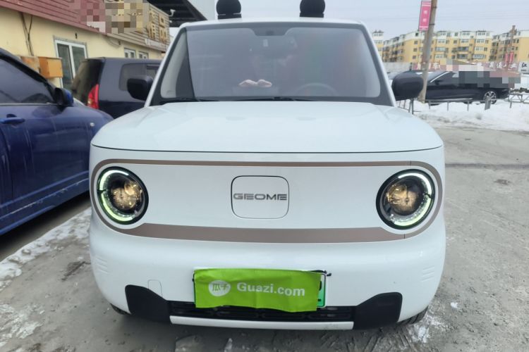 Used  Panda 2023 Panda Mini 200km Endurance Bear
