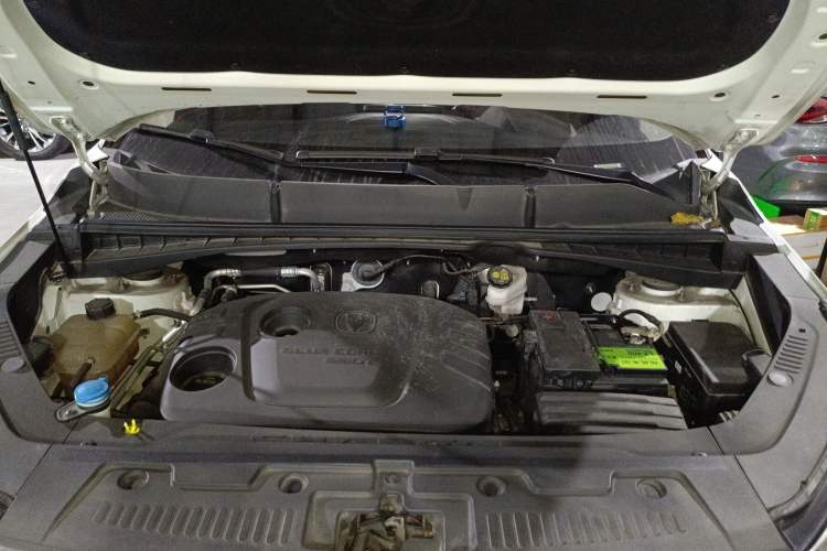 Used Changan CS55 2019 1.5T Automatic Xuan Dong Model China VI Standard
