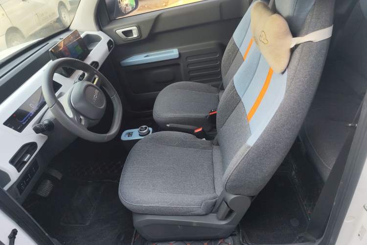 Used  Panda 2023 Panda Mini 200km Endurance Bear
