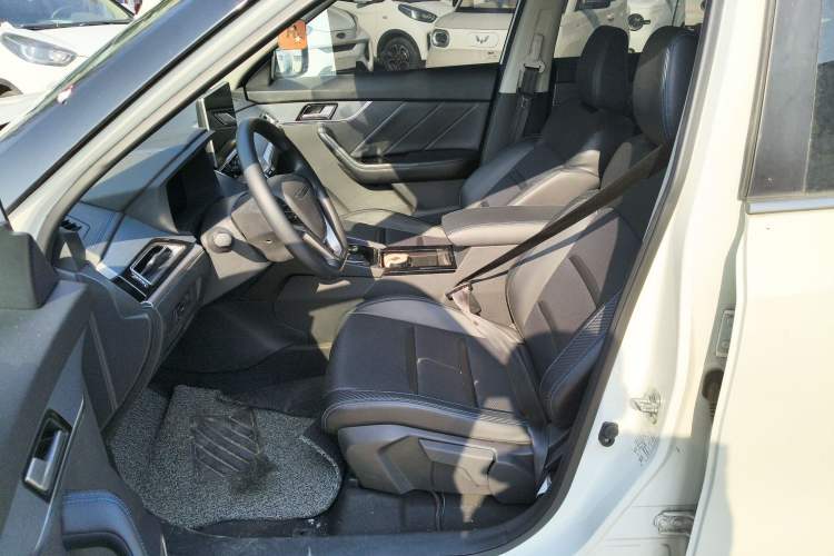 Used Venucia T60EV 2020 AI Enjoyment Model
