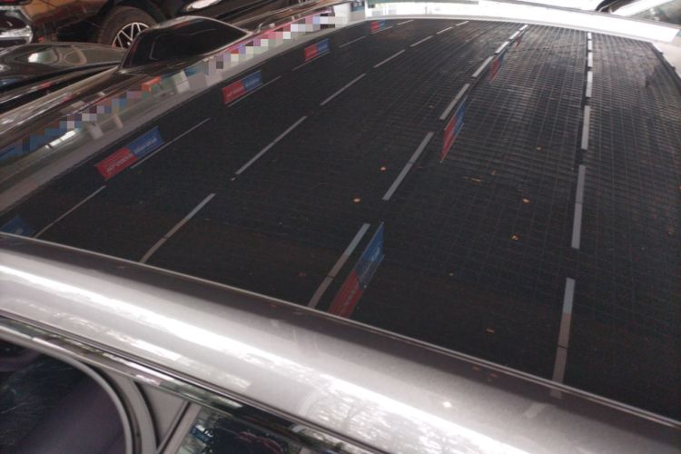 Used  06 2025 Ultra Pure Electric Edition
